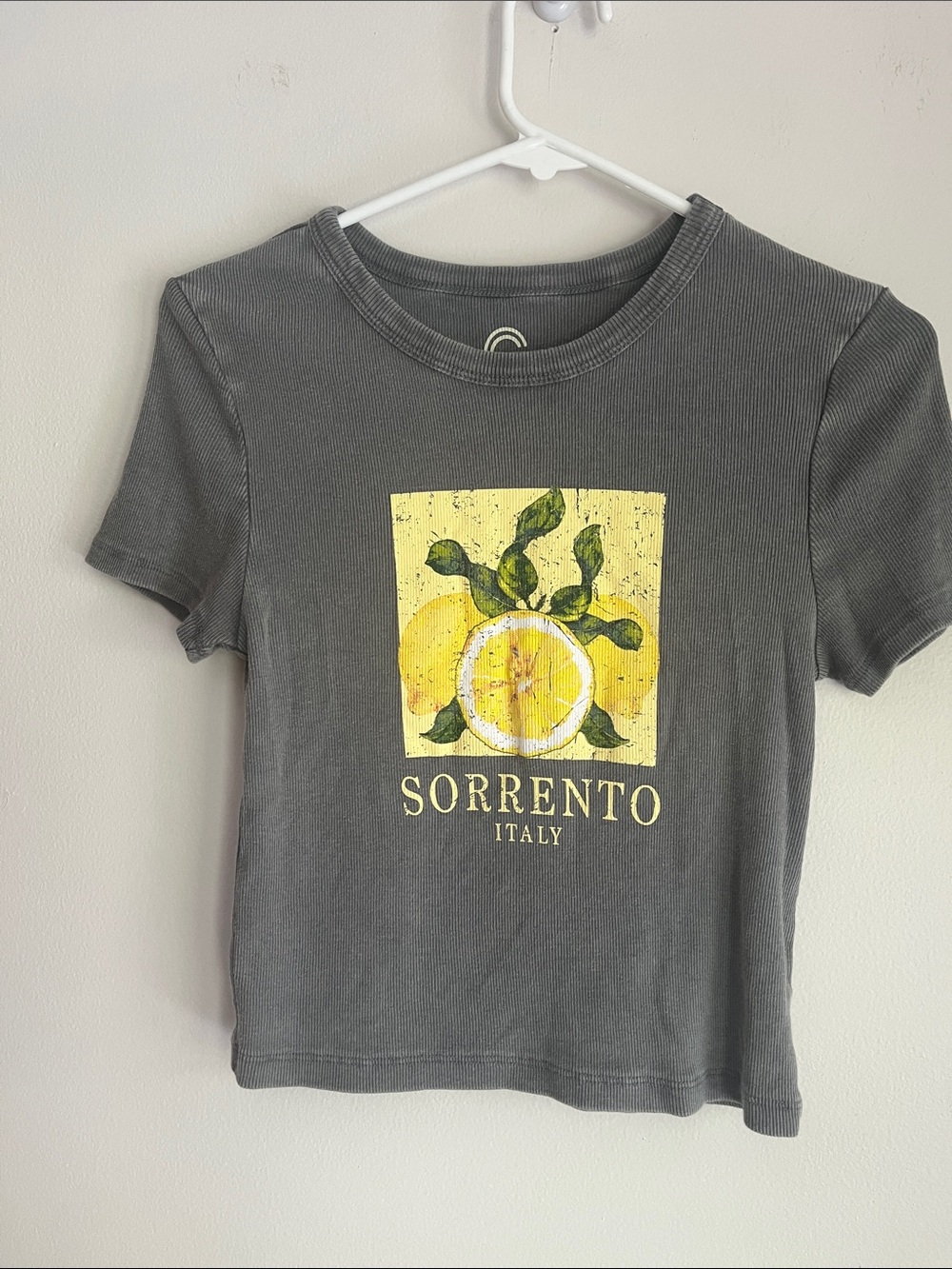 Gray Short Sleeve Tee with Yellow Lemon Graphic bin 32